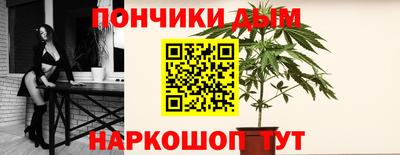 крисы Гатчина