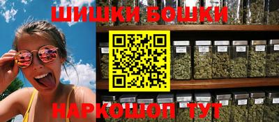 крисы Гатчина