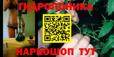 крисы Гатчина