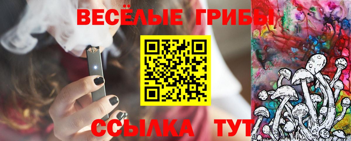 Псилоцибиновые грибы Cubensis Златоуст